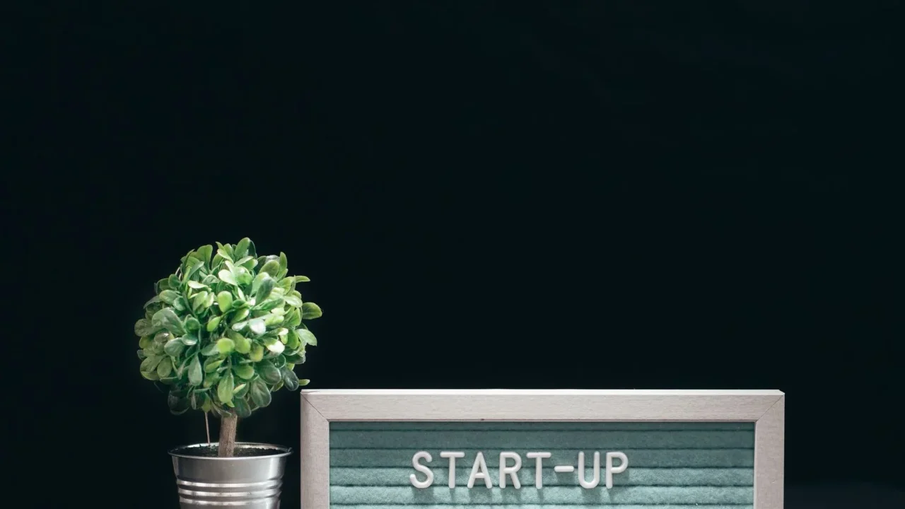 Business Growth Website Development